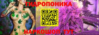 a pvp Комсомольск-на-Амуре