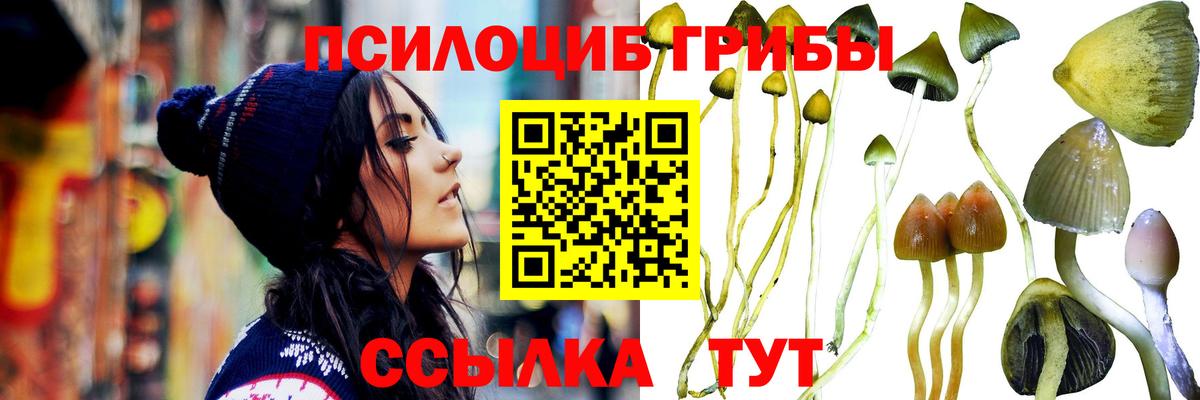 Псилоцибиновые грибы прущие грибы  Вход с VPN  Глазов 